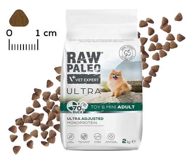 RAW PALEO ULTRA TOY & MINI ADULT DUCK
